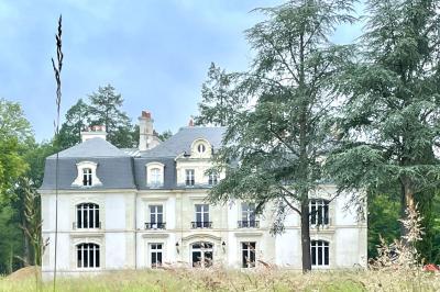 Vue aérienne d'un terrain de tennis rouge entouré de forêt, avec une petite mare et des prairies avoisinantes.