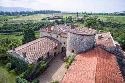 Statues représentant deux figures humaines et un chien dans un parc avec arbres et ciel dégagé en arrière-plan.