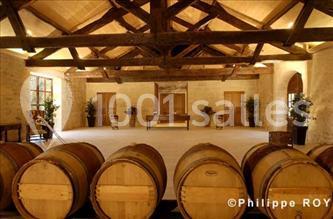 Miniature Location salle Saint-Genès-de-Castillon (Gironde) - Château Flojague #5 Location salle Saint-Genès-de-Castillon (Gironde) - Château Flojague #15