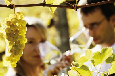 Salle de réunion lumineuse avec tables en U, chaises en bois, tonneau décoratif et étagères murales garnies de bouteilles.