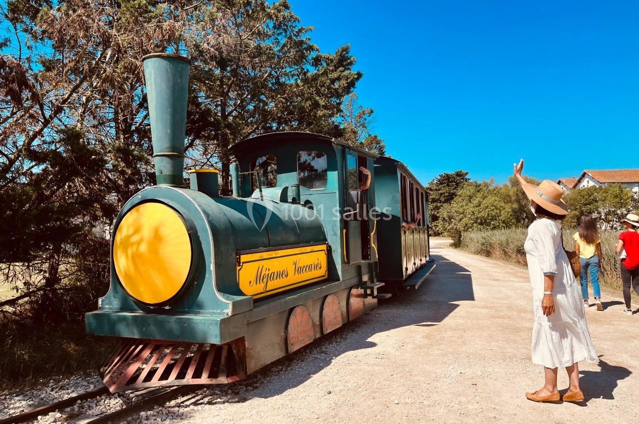Petit train touristique vert et jaune sur un chemin de terre, entouré de végétation, avec une femme saluant au premier plan.