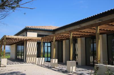 Vignes verdoyantes avec des piquets en bois au premier plan, paysage vallonné et ciel dégagé en arrière-plan.