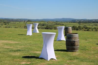 Vignes verdoyantes avec des piquets en bois au premier plan, paysage vallonné et ciel dégagé en arrière-plan.