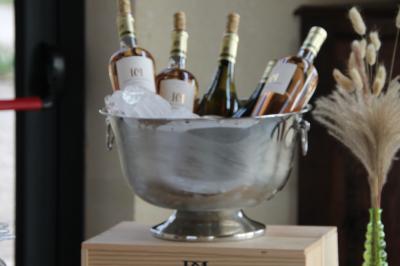 Vignes verdoyantes avec des piquets en bois au premier plan, paysage vallonné et ciel dégagé en arrière-plan.