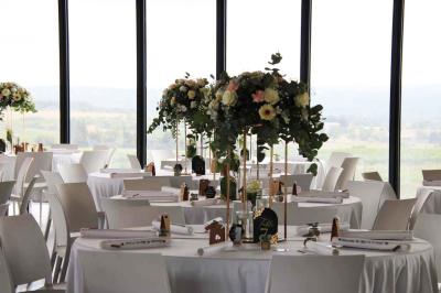 Vignes verdoyantes avec des piquets en bois au premier plan, paysage vallonné et ciel dégagé en arrière-plan.