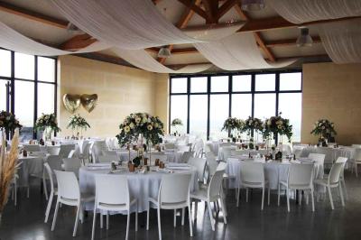 Vignes verdoyantes avec des piquets en bois au premier plan, paysage vallonné et ciel dégagé en arrière-plan.