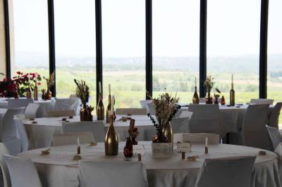 Vignes verdoyantes avec des piquets en bois au premier plan, paysage vallonné et ciel dégagé en arrière-plan.