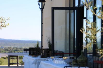 Vignes verdoyantes avec des piquets en bois au premier plan, paysage vallonné et ciel dégagé en arrière-plan.