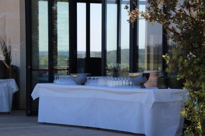 Vignes verdoyantes avec des piquets en bois au premier plan, paysage vallonné et ciel dégagé en arrière-plan.