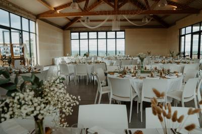 Vignes verdoyantes avec des piquets en bois au premier plan, paysage vallonné et ciel dégagé en arrière-plan.