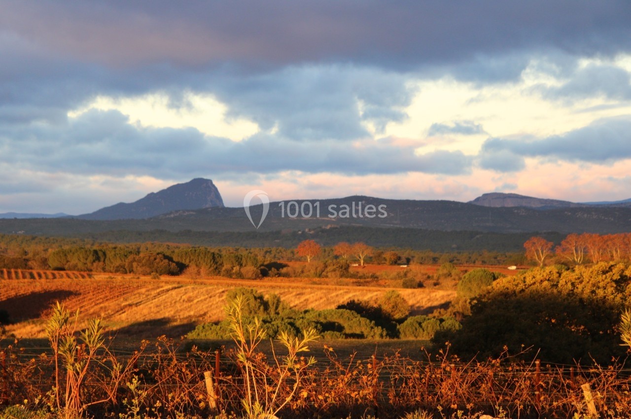 Paysage rural au coucher du soleil, avec des champs, des arbustes et des montagnes à l'horizon sous un ciel nuageux.