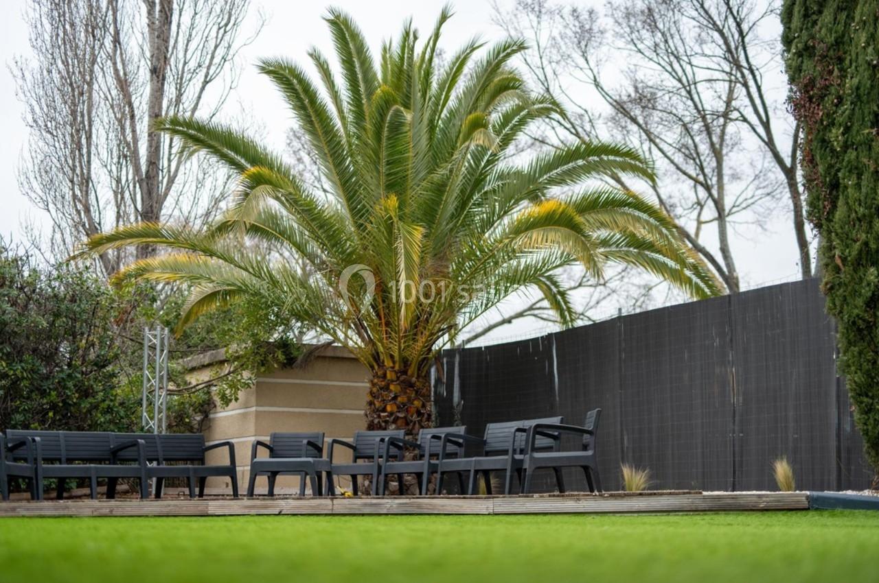 Un palmier entouré de chaises noires sur une terrasse, avec une pelouse au premier plan et des arbres en arrière-plan.