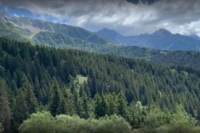 Miniature Location salle Theys (Isère) - Le Farinaud #23 Vue d'une forêt dense avec des montagnes verdoyantes et un ciel partiellement nuageux en arrière-plan.