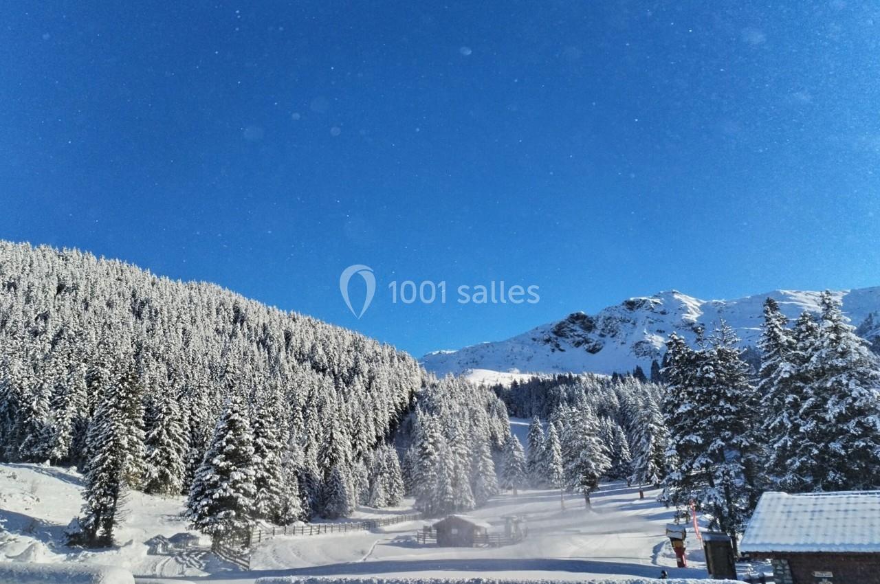 Paysage hivernal avec forêt enneigée, montagnes en arrière-plan et ciel bleu dégagé.