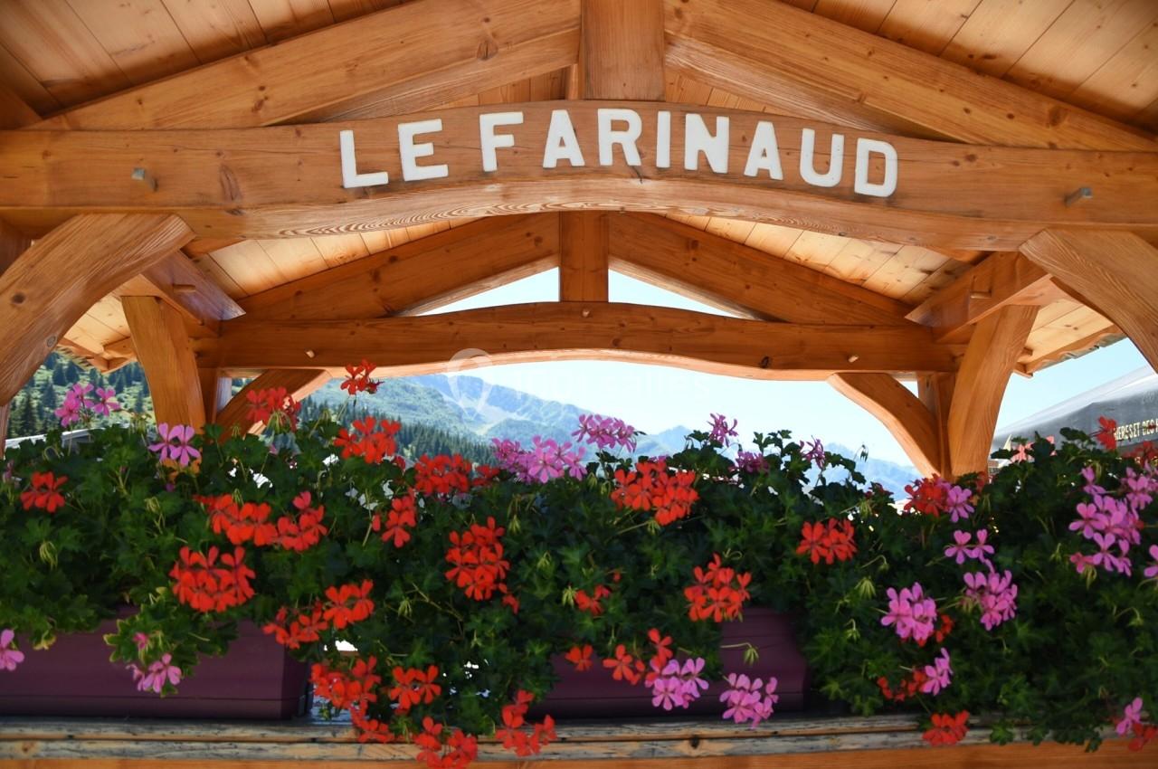Structure en bois avec une enseigne ’Le Farinaud’, ornée de fleurs rouges et violettes en pleine montagne.