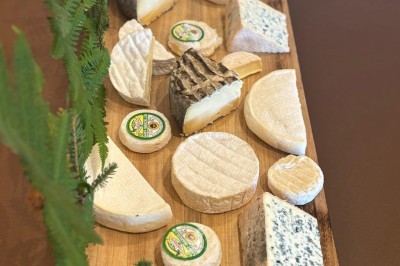 Plateau en bois garni de macarons colorés, tartelettes aux fruits et pâtisseries variées disposés en rangées.