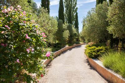 Terrasse couverte en bois avec mobilier d'extérieur blanc, donnant sur un jardin arboré et une allée gravillonnée.