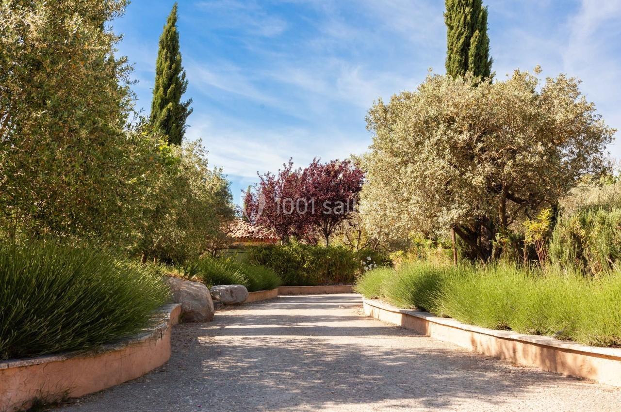 Allée bordée de lavandes et d'arbres méditerranéens sous un ciel bleu clair.