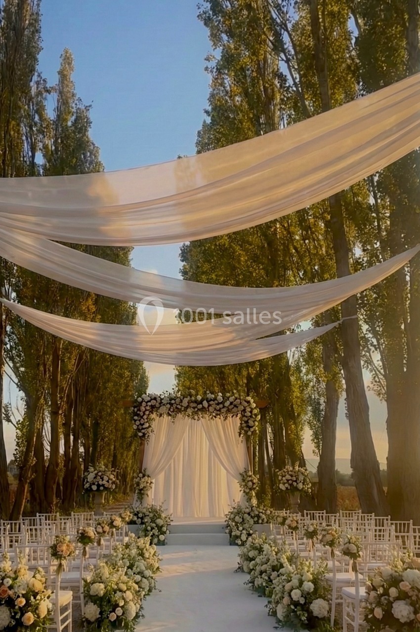 Allée décorée de fleurs blanches menant à une arche de mariage sous des voilages suspendus, entourée d'arbres.