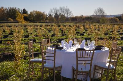 Terrasse couverte en bois avec mobilier d'extérieur blanc, donnant sur un jardin arboré et une allée gravillonnée.
