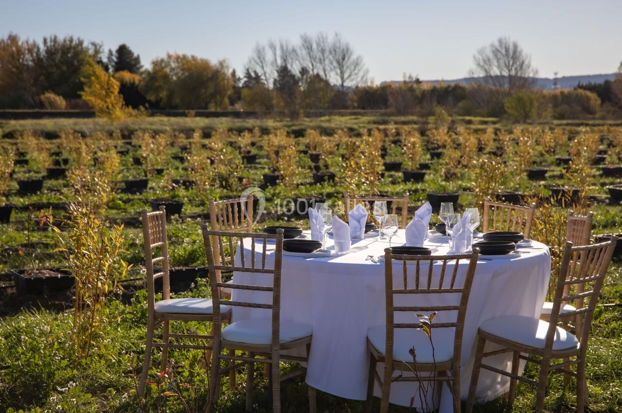Table dressée avec nappes blanches, vaisselle et chaises en bois, installée dans un champ ensoleillé.