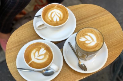 Comptoir blanc avec logo ’Medtronic’ sur une terrasse ensoleillée, entouré de plantes et vue sur des bâtiments historiques.