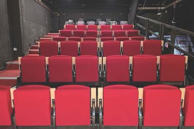 Espace salon avec canapés et fauteuils rouges, table basse en bois, plantes et photos encadrées sur un mur sombre.