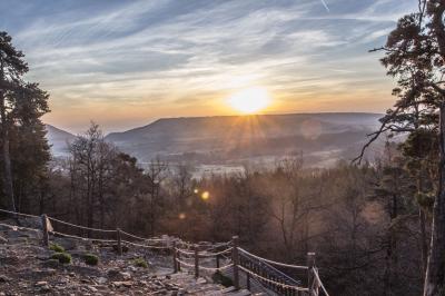 Location salle Ardes (Puy-de-Dôme) - Parc Animalier D'auvergne #12