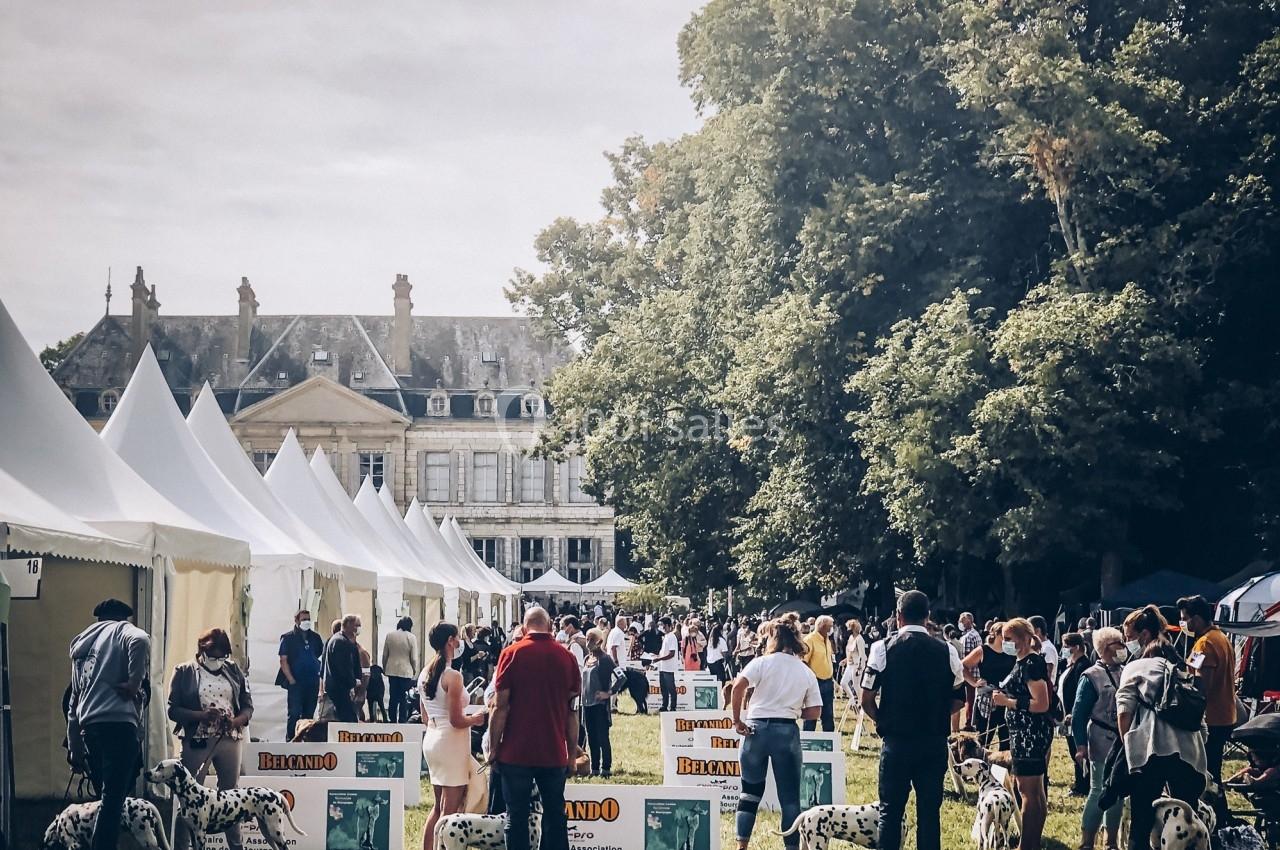 Location salle Brognon (Côte-d'Or) - Chateau de Brognon #32