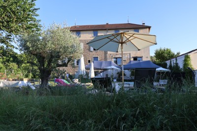 Table dressée en extérieur avec boissons fraîches, carafes d'eau infusée, bouteilles et verres sur une nappe blanche.