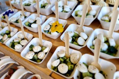 Miniature Traiteur Grigny (Essonne) - LCG Traiteur #23 Plat dressé avec une base de viande effilochée, purée de pommes de terre, feuilles de salade et sauce en décoration.