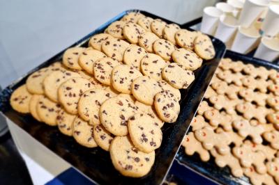Plat dressé avec une base de viande effilochée, purée de pommes de terre, feuilles de salade et sauce en décoration.