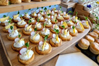 Plat dressé avec une base de viande effilochée, purée de pommes de terre, feuilles de salade et sauce en décoration.