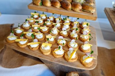 Plat dressé avec une base de viande effilochée, purée de pommes de terre, feuilles de salade et sauce en décoration.