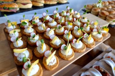 Plat dressé avec une base de viande effilochée, purée de pommes de terre, feuilles de salade et sauce en décoration.