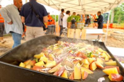 Plat dressé avec une base de viande effilochée, purée de pommes de terre, feuilles de salade et sauce en décoration.