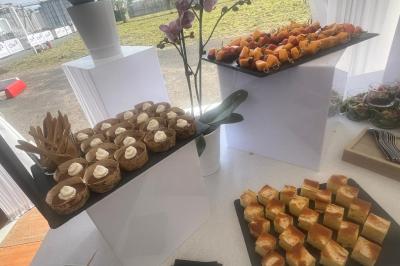 Plat dressé avec une base de viande effilochée, purée de pommes de terre, feuilles de salade et sauce en décoration.