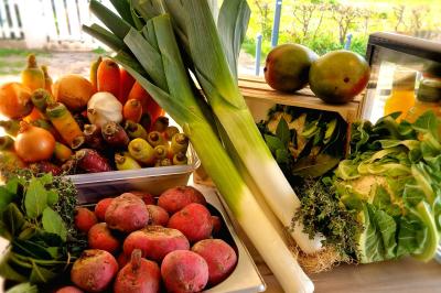 Plat dressé avec une base de viande effilochée, purée de pommes de terre, feuilles de salade et sauce en décoration.