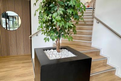 Miniature Location salle Lampertheim (Bas-Rhin) - Le 13 #16 Plante verte en pot noir avec des galets blancs, placée près d'un escalier en bois dans un espace intérieur lumineux.