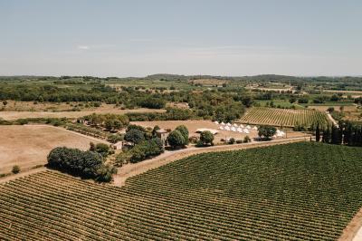 Fête nocturne en plein air avec un bar central, des invités debout et des lumières colorées sous une tente éclairée.
