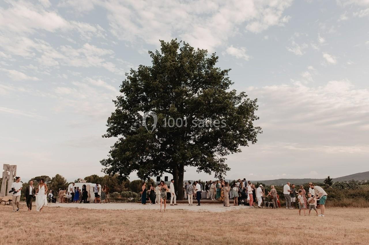 Groupe de personnes rassemblées sous un grand arbre dans un paysage rural par temps clair.