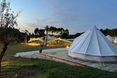 Chevaux bruns et blanc dans un pré sous un ciel partiellement nuageux, avec des tentes en arrière-plan.