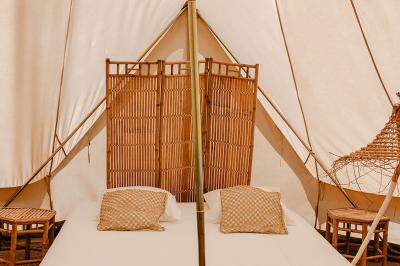 Chevaux bruns et blanc dans un pré sous un ciel partiellement nuageux, avec des tentes en arrière-plan.