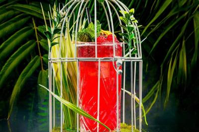 Artiste jonglant avec des torches enflammées dans une ambiance sombre, devant un logo lumineux en arrière-plan.