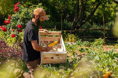 Salle de réception lumineuse avec tables décorées, chaises blanches et un grand lustre central sous une verrière.