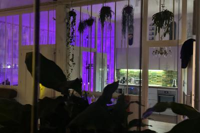 Salle lumineuse avec parquet, canapés sombres, plantes, décorations murales et grandes fenêtres laissant entrer la lumière.