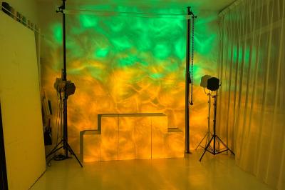 Salle lumineuse avec parquet, canapés sombres, plantes, décorations murales et grandes fenêtres laissant entrer la lumière.