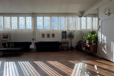 Salle lumineuse avec parquet, canapés sombres, plantes, décorations murales et grandes fenêtres laissant entrer la lumière.