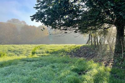 Salle de bain avec deux lavabos sur pied, une douche vitrée et des murs en pierre apparente.