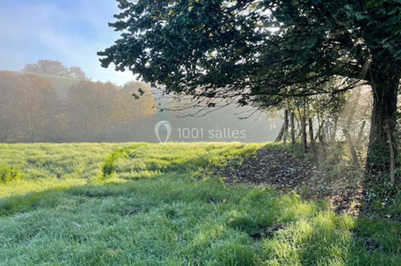 Prairie verdoyante éclairée par le soleil matinal, bordée d'arbres et partiellement ombragée.